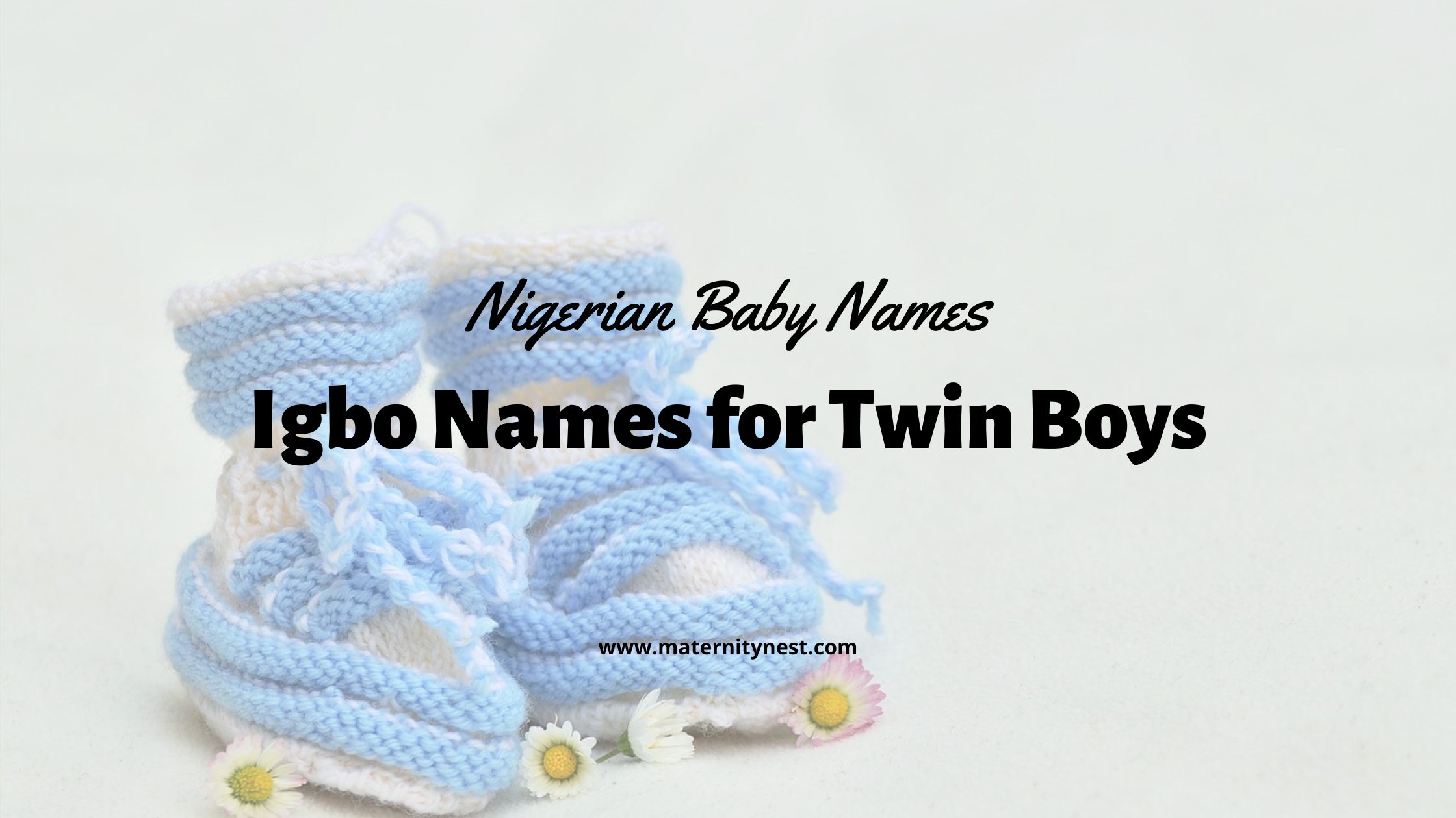 Igbo Names For Twin Boys And Their Meanings Maternity Nest